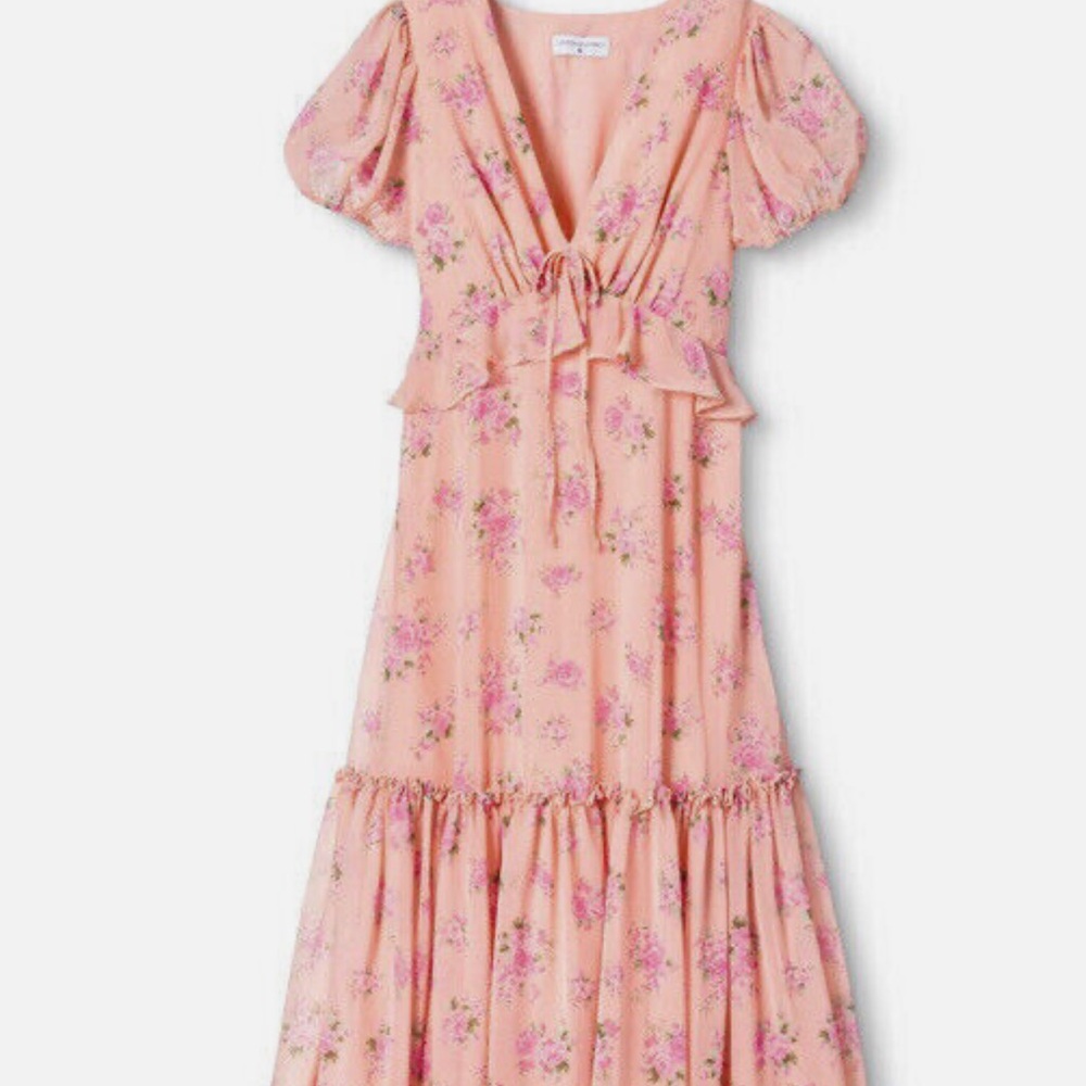LoveShackFancy x TargetTARGET Fleur Dress
Size 4
Brand new with tags